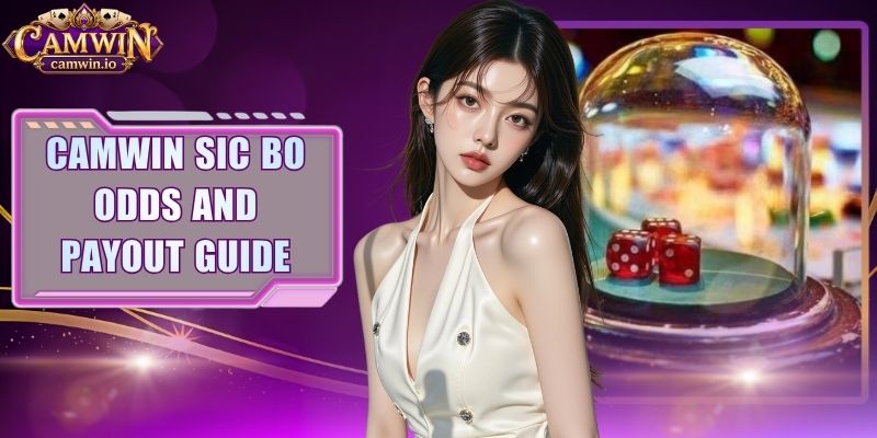 CAMWIN Sic Bo Odds And Payout Guide