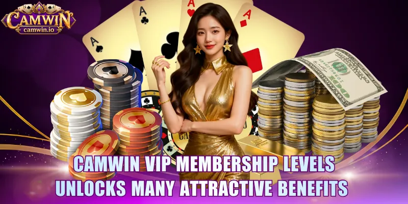 CAMWIN VIP membership levels unlocks many attractive benefits 