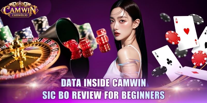 Data inside CAMWIN Sic Bo review for beginners