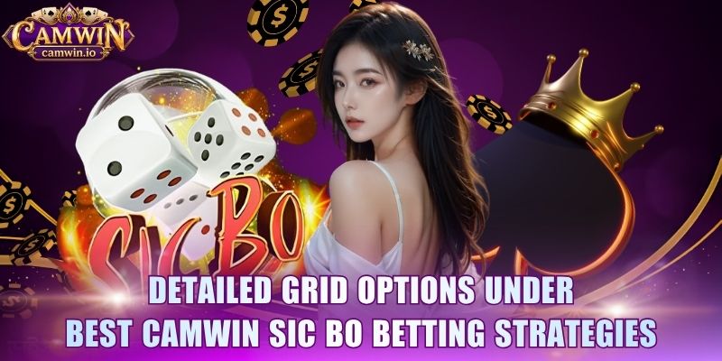 Detailed grid options under best CAMWIN Sic Bo betting strategies