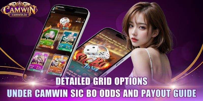 Detailed grid options under CAMWIN Sic Bo odds and payout guide
