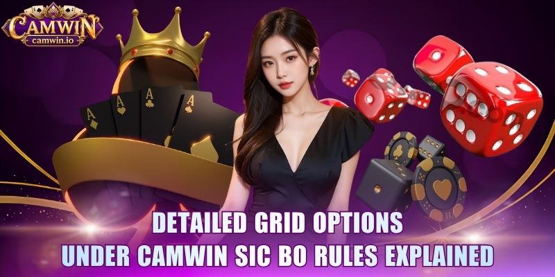 Detailed grid options under CAMWIN Sic Bo rules explained