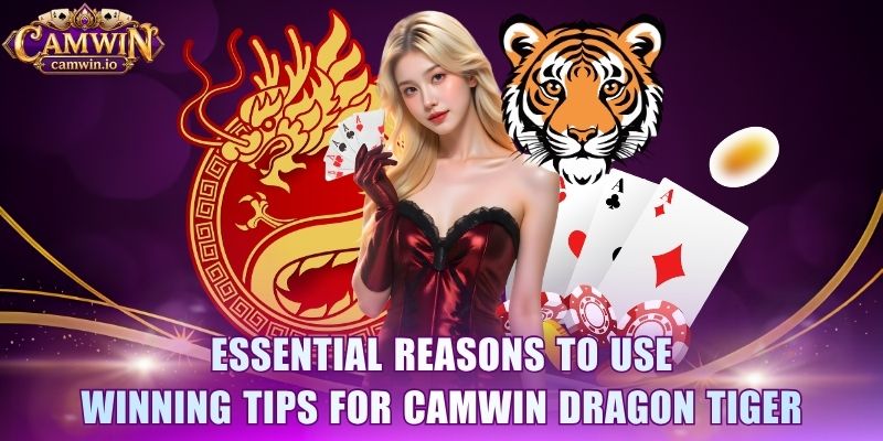 Essential reasons to use winning tips for CAMWIN Dragon Tiger 