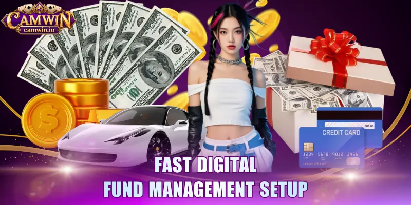 Fast digital fund management setup