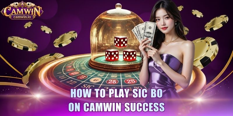 How to play sic bo on CAMWIN Success