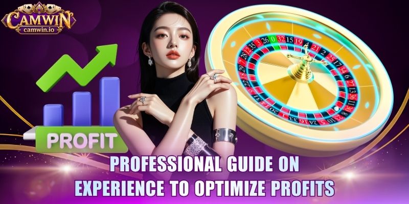 Professional guide on experience to optimize profits 