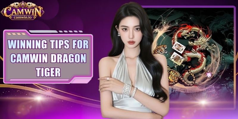 Winning Tips For CAMWIN Dragon Tiger